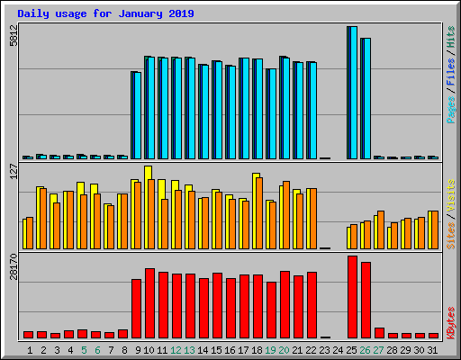 Daily usage for January 2019
