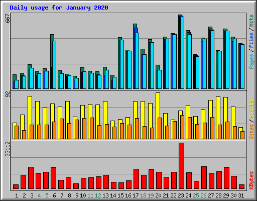 Daily usage for January 2020