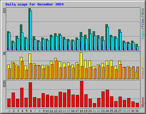 Daily usage for December 2024