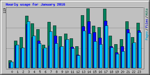Hourly usage for January 2016