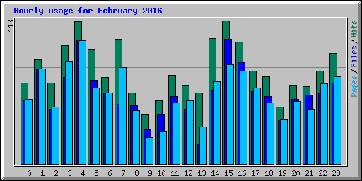Hourly usage for February 2016
