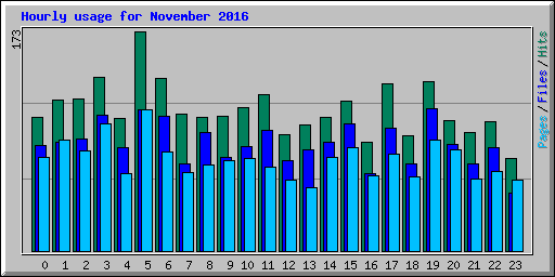 Hourly usage for November 2016