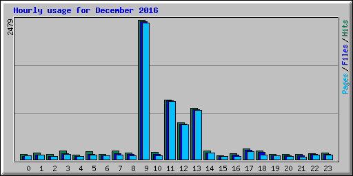Hourly usage for December 2016