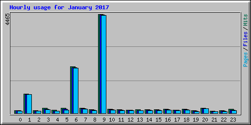 Hourly usage for January 2017