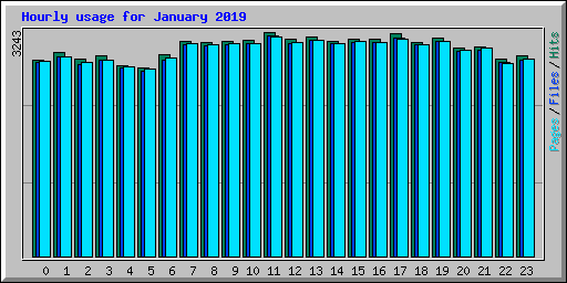 Hourly usage for January 2019