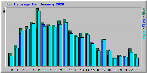 Hourly usage for January 2020
