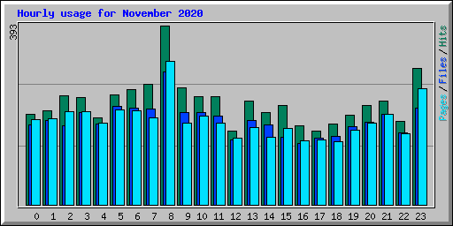Hourly usage for November 2020