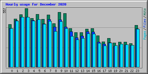 Hourly usage for December 2020