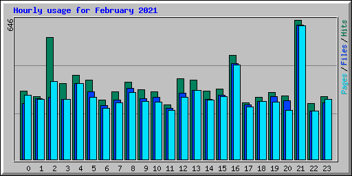 Hourly usage for February 2021
