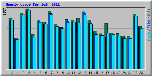 Hourly usage for July 2021