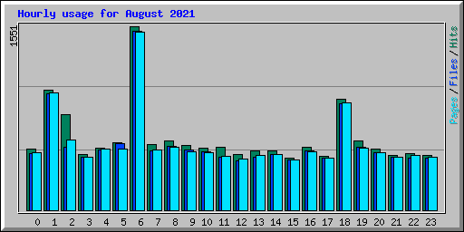 Hourly usage for August 2021