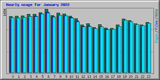 Hourly usage for January 2022