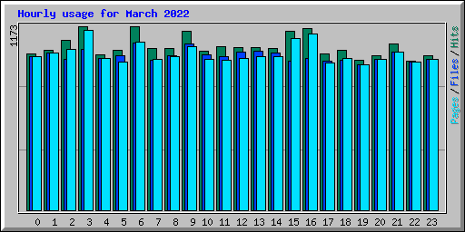 Hourly usage for March 2022