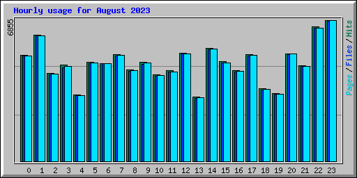 Hourly usage for August 2023