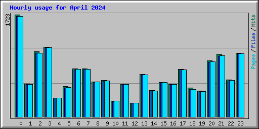 Hourly usage for April 2024