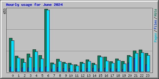 Hourly usage for June 2024