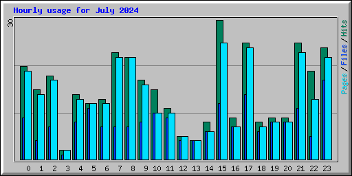 Hourly usage for July 2024