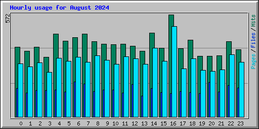 Hourly usage for August 2024