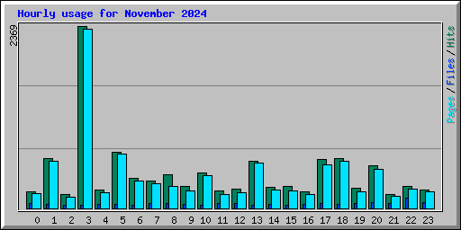 Hourly usage for November 2024