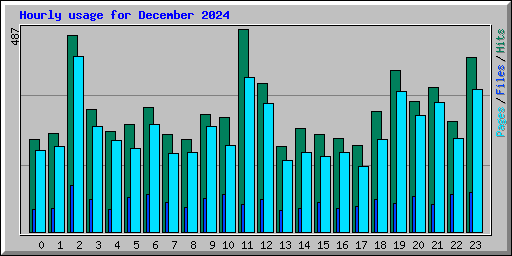Hourly usage for December 2024