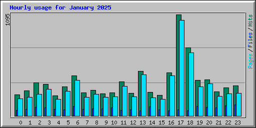 Hourly usage for January 2025