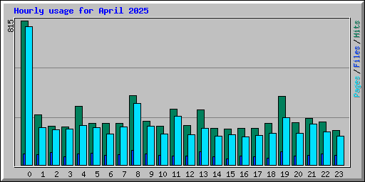 Hourly usage for April 2025