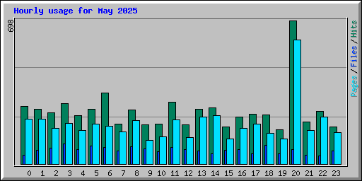 Hourly usage for May 2025