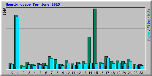 Hourly usage for June 2025